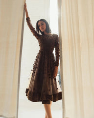 Brown Velvet Embellished Illusion Long Sleeve A-Line Midi Dress